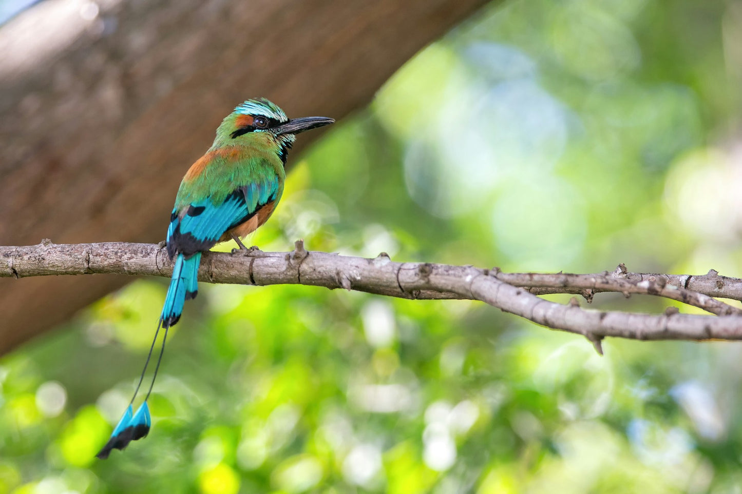 Nicaragua