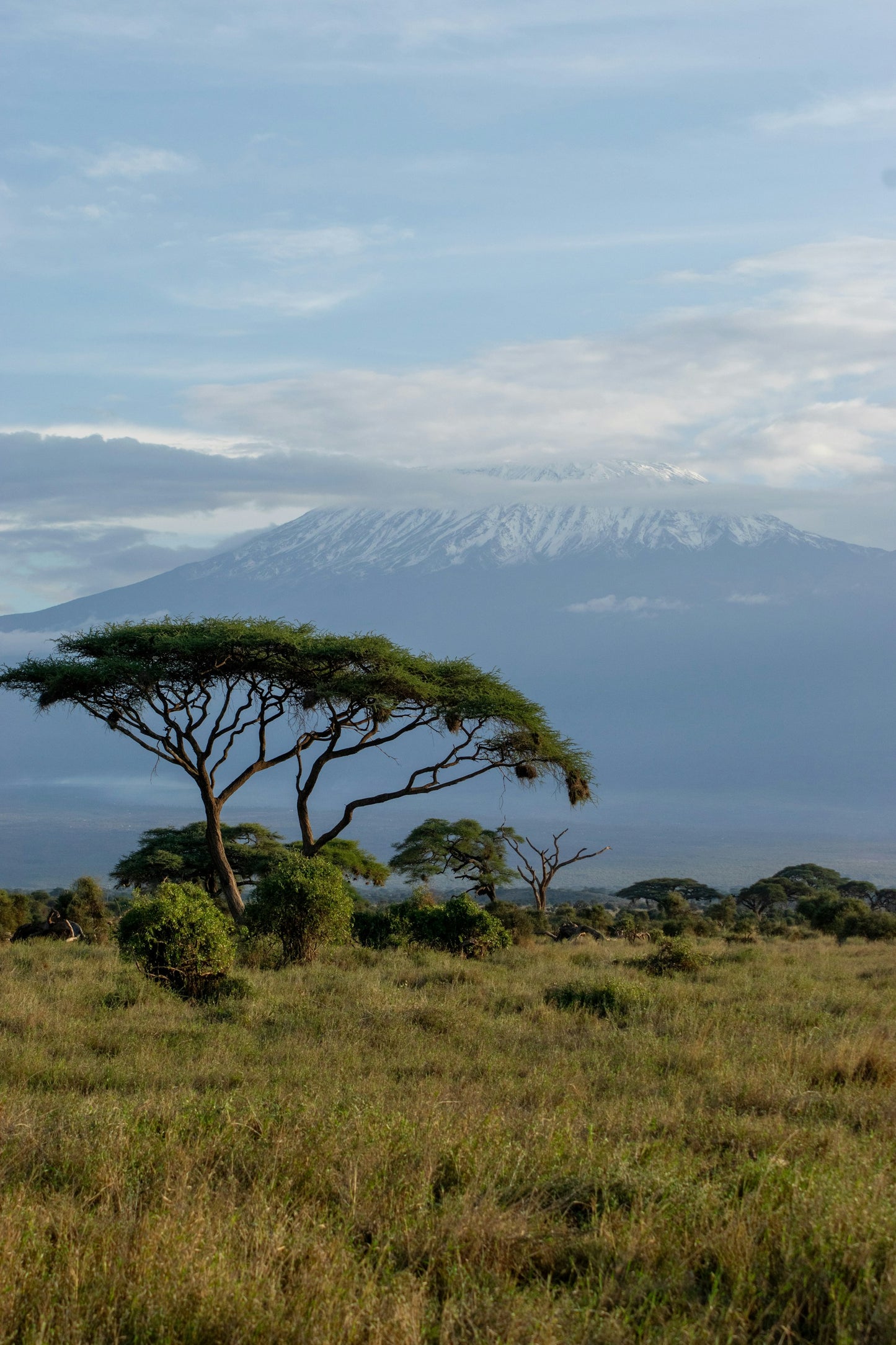 Kenya