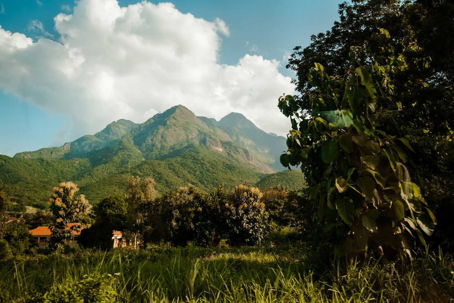 Tanzania