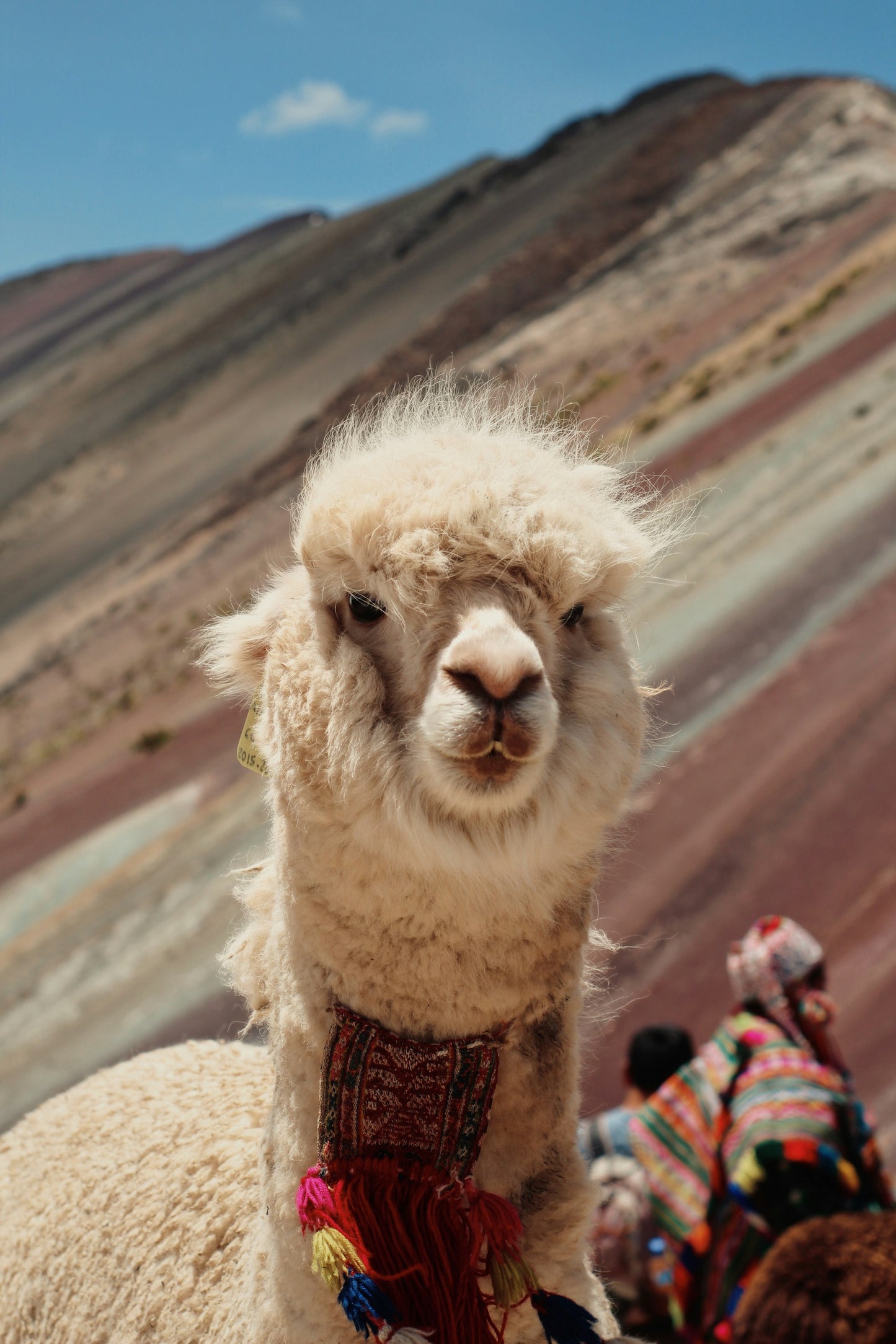 Peru Decaf