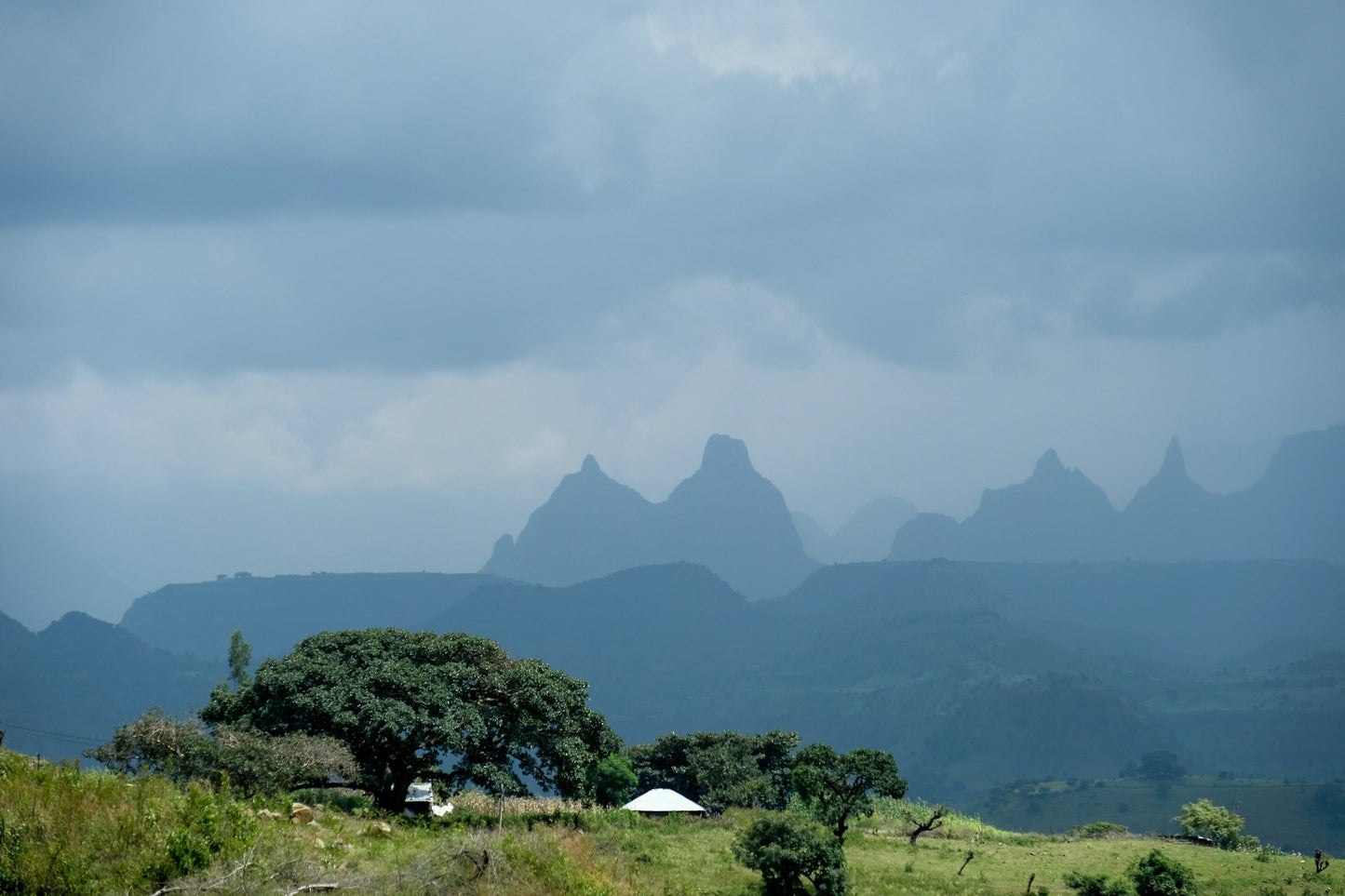 Ethiopia Natural