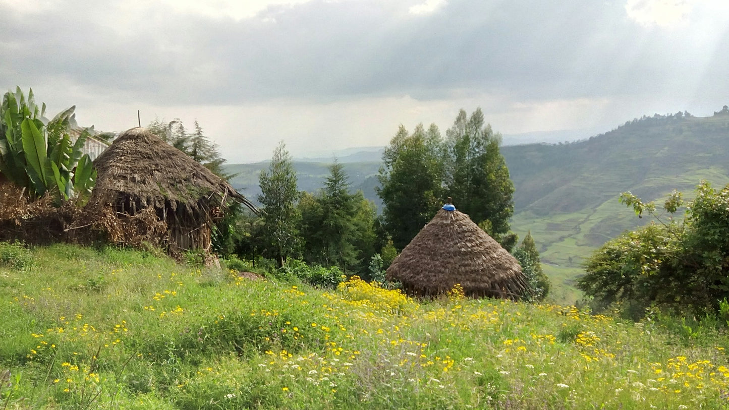 Ethiopia Natural