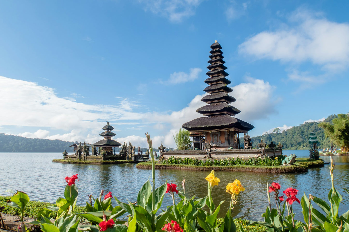 Bali Blue